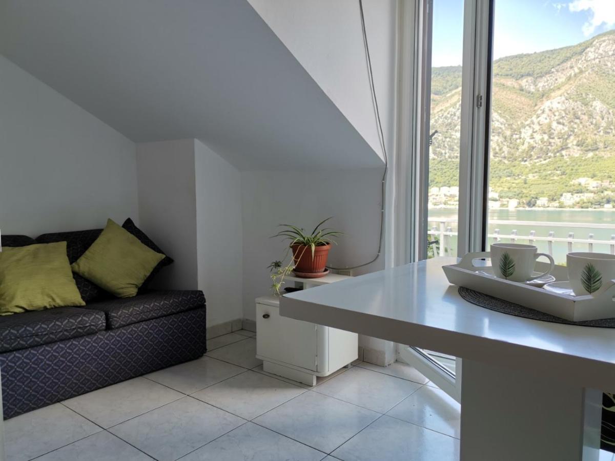 Apartments Coso Zlatne Njive Bb Kotor Zewnętrze zdjęcie