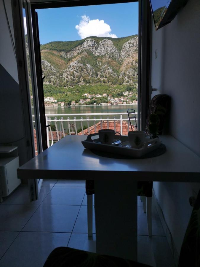 Apartments Coso Zlatne Njive Bb Kotor Zewnętrze zdjęcie