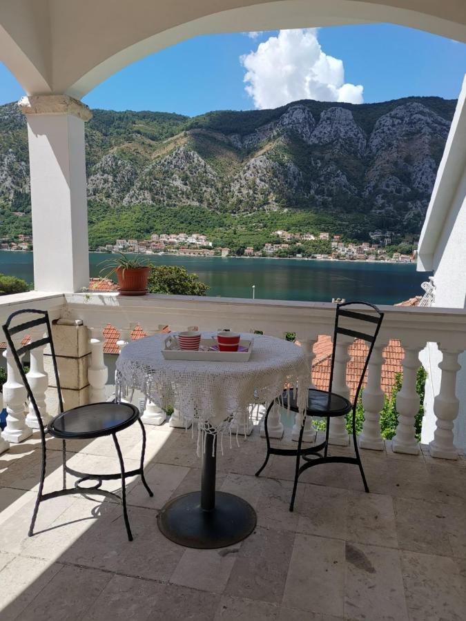 Apartments Coso Zlatne Njive Bb Kotor Zewnętrze zdjęcie