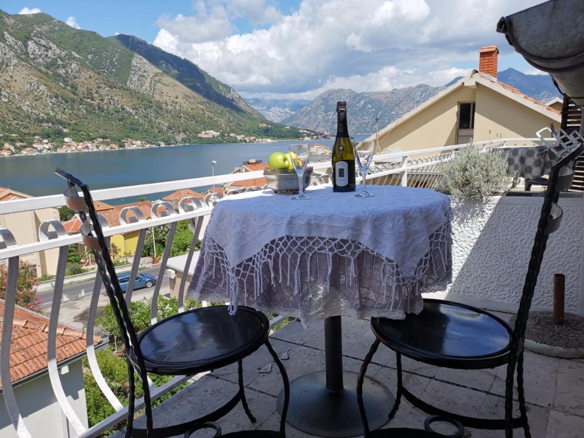 Apartments Coso Zlatne Njive Bb Kotor Zewnętrze zdjęcie