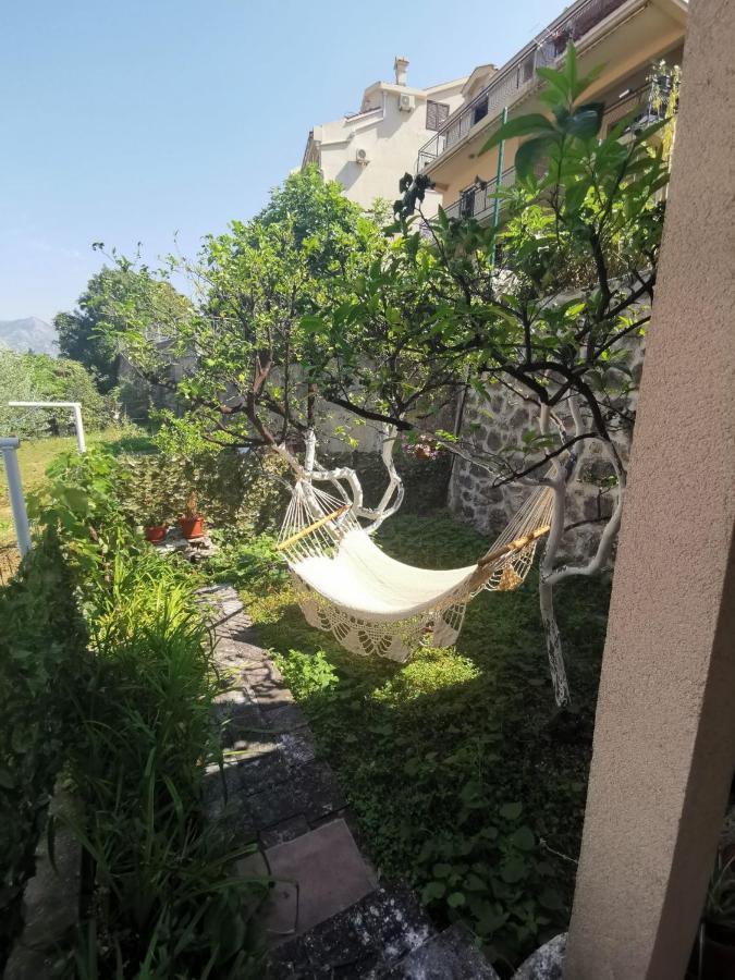 Apartments Coso Zlatne Njive Bb Kotor Zewnętrze zdjęcie