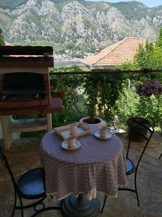 Apartments Coso Zlatne Njive Bb Kotor Zewnętrze zdjęcie