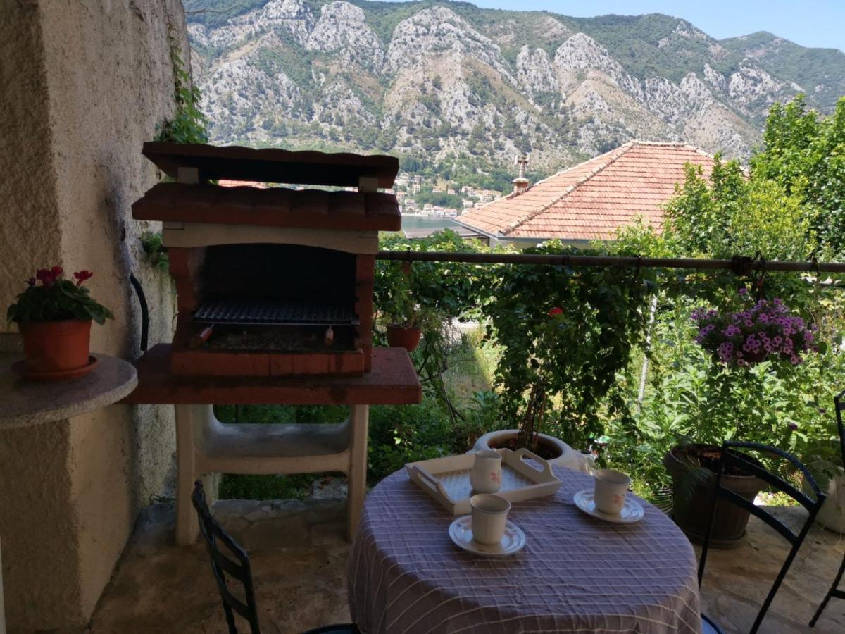 Apartments Coso Zlatne Njive Bb Kotor Zewnętrze zdjęcie