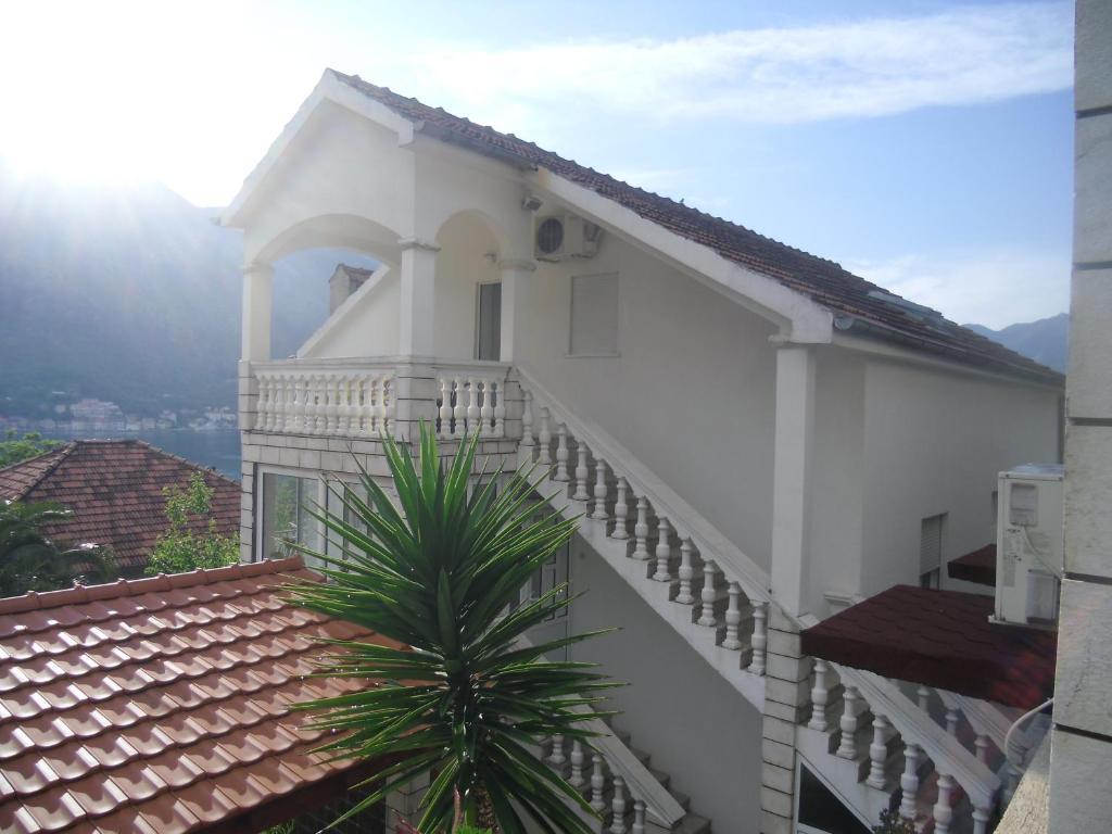 Apartments Coso Zlatne Njive Bb Kotor Zewnętrze zdjęcie