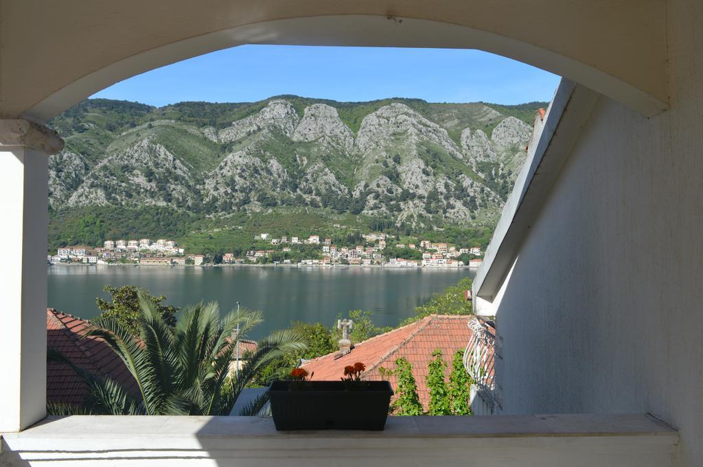 Apartments Coso Zlatne Njive Bb Kotor Zewnętrze zdjęcie
