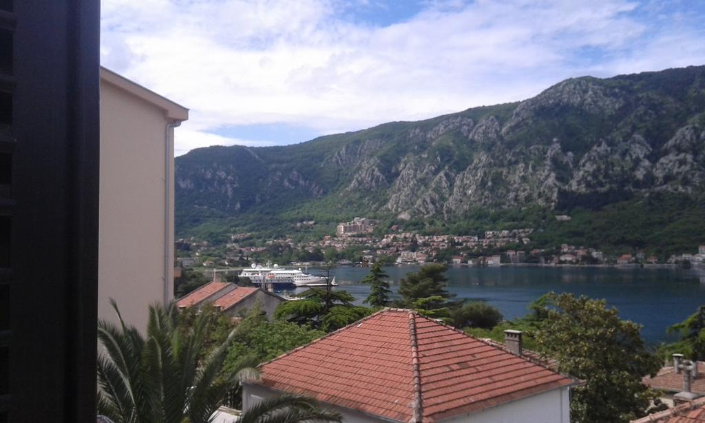 Apartments Coso Zlatne Njive Bb Kotor Zewnętrze zdjęcie