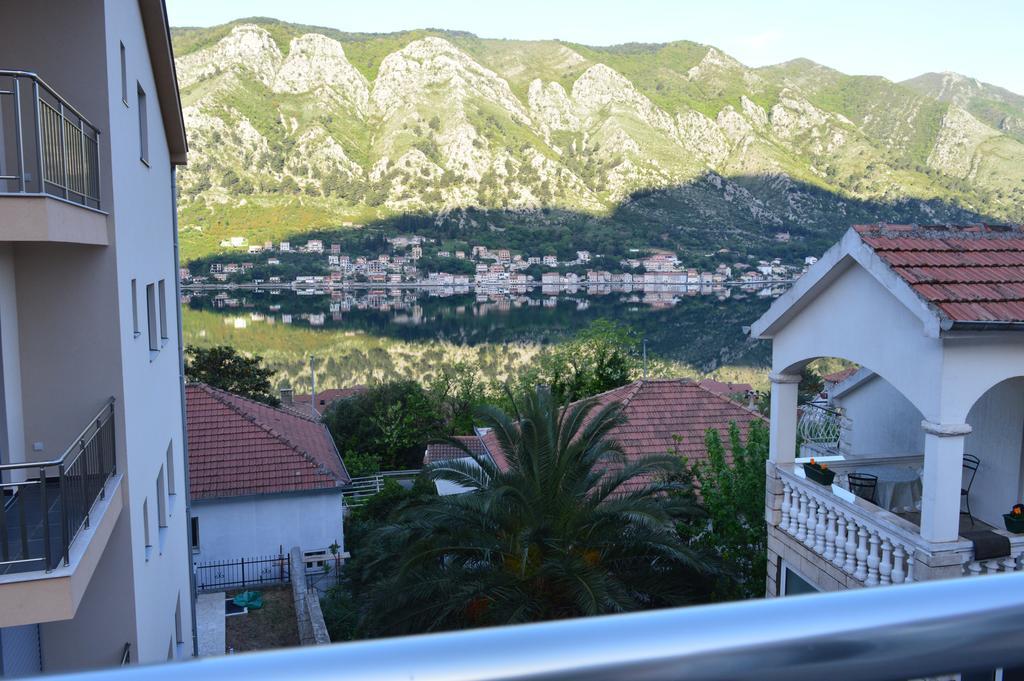 Apartments Coso Zlatne Njive Bb Kotor Zewnętrze zdjęcie