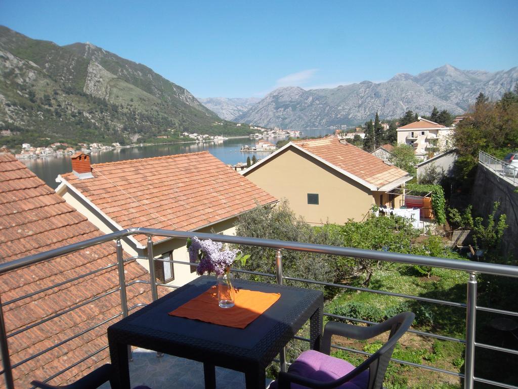 Apartments Coso Zlatne Njive Bb Kotor Zewnętrze zdjęcie
