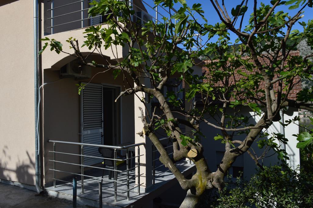 Apartments Coso Zlatne Njive Bb Kotor Zewnętrze zdjęcie