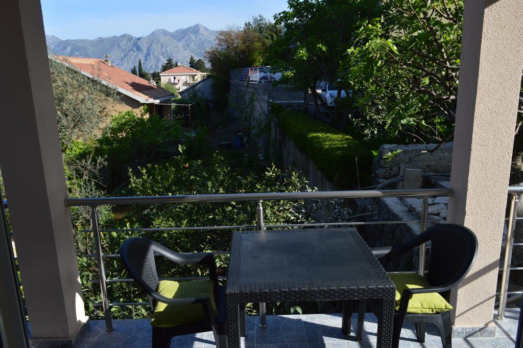 Apartments Coso Zlatne Njive Bb Kotor Zewnętrze zdjęcie